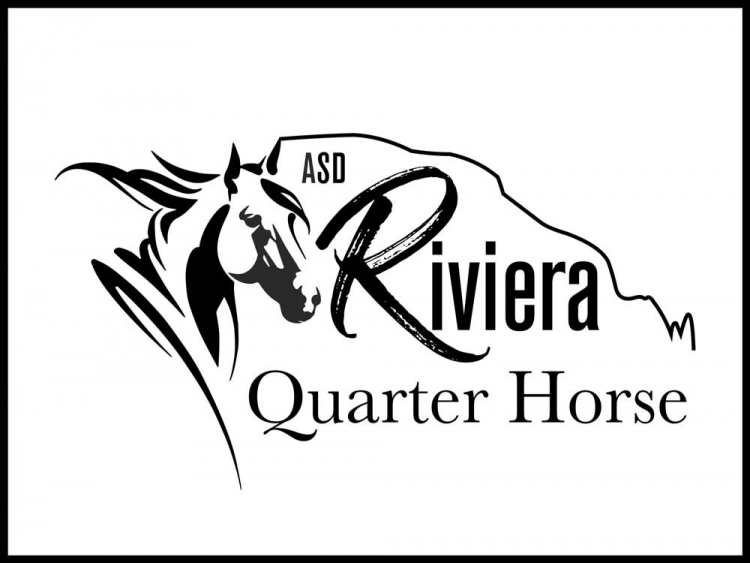 Asd Riviera Quarter Horse