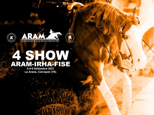 4 show ARAM-IRHA-FISE 2021