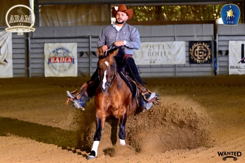 5 show ARAM 2026 - SERGIO NICOLA &amp; SHOOTING WHIZ GUN score 73,5