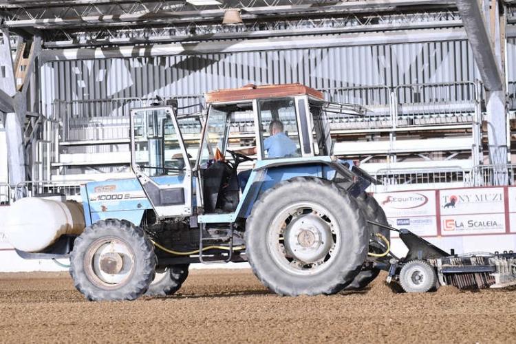 Regolamento in Arena e in Campo Prova 2024
