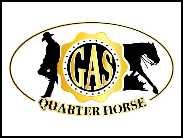 Gas quarter horse