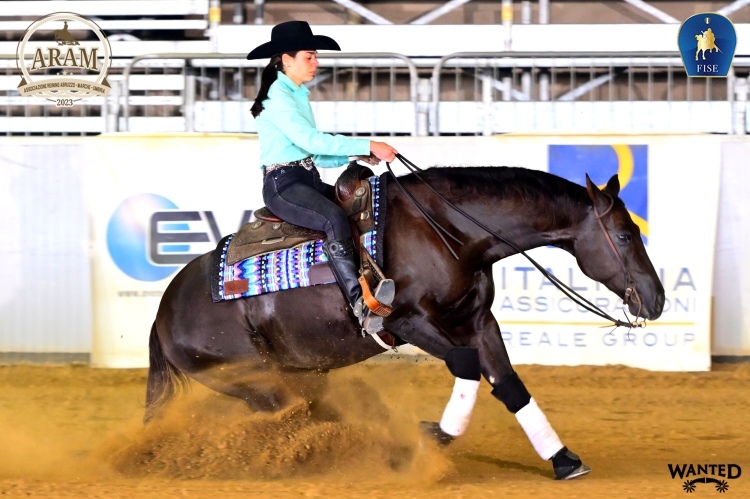 5 show ARAM 2026 - SACCHETTI ALESSANDRA &amp; CALIMERO WHIZ score 71