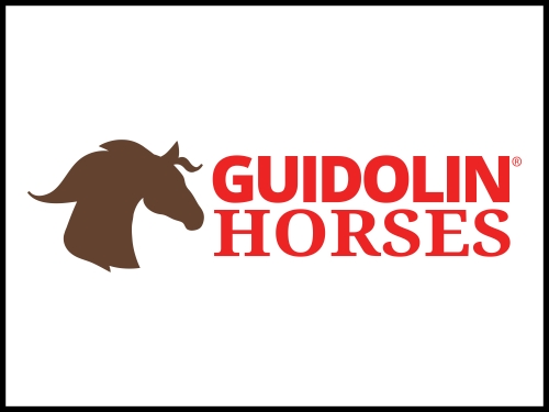 Guidolin Horses