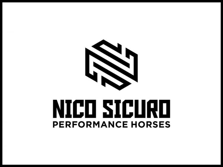 Nico Sicuro performance horses