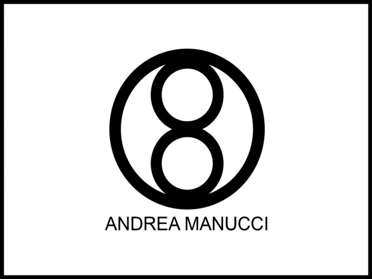 Andrea Manucci Reining Horses