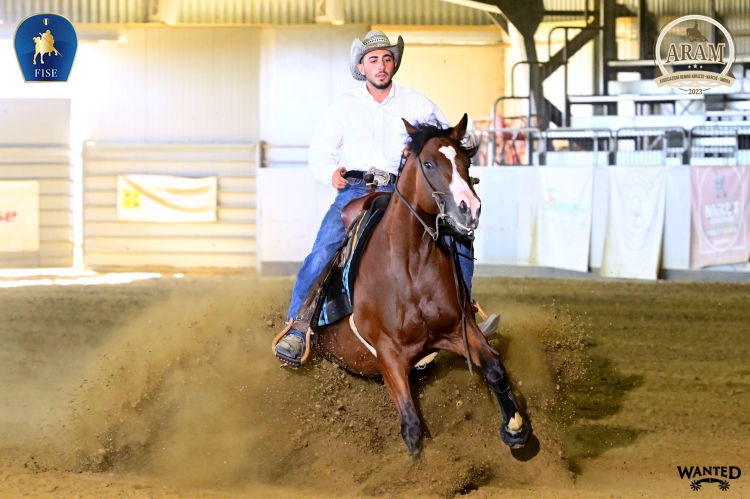 4 show ARAM 2026 - PIZZUTI ALESSIO &amp; LADY DART FENER score 71