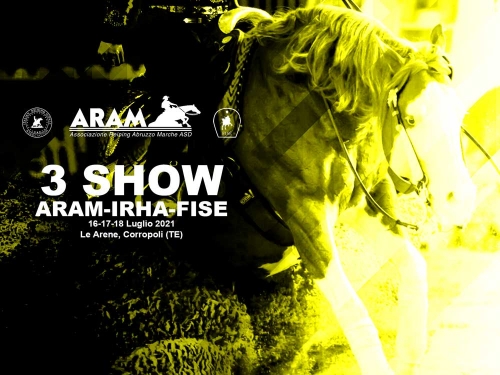 3 show ARAM-IRHA-FISE 2021