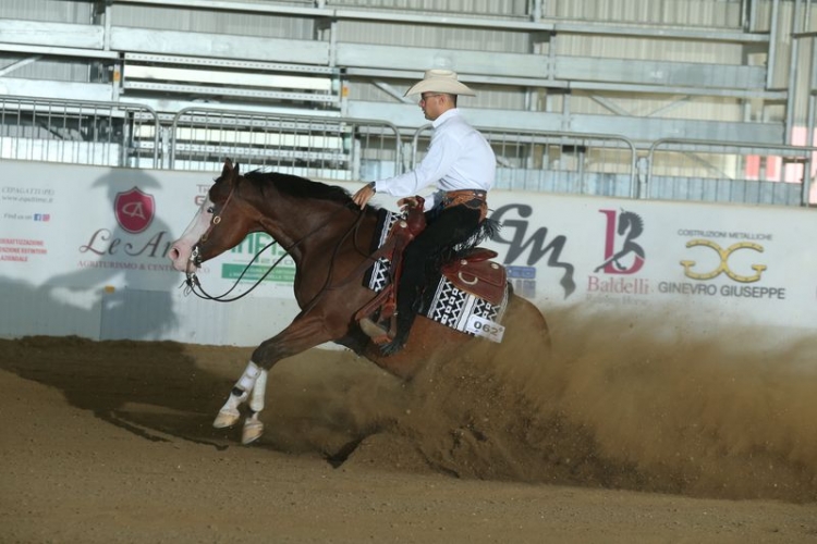 3 show ARAM 2018 - CHIOLDO PIERLUIGI su GUN AT THE GATE di ZAGARIA ANTONIO con score 145,5