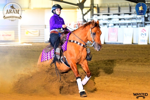 5 show ARAM 2026 - PERUGINI ELISA &amp; CAPTAIN RED OAK score 71,5