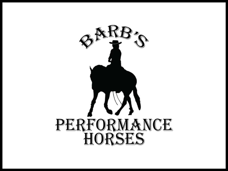 Barb&#039;s performance horses